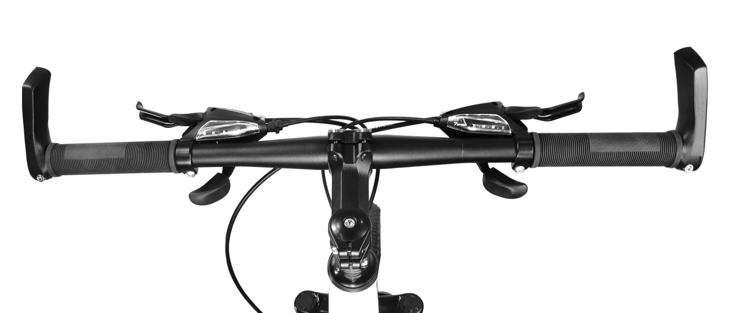 Lauxjack Mountainbike